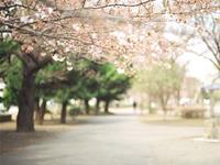 巨蟹座哪件事越想越后悔