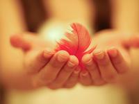 双鱼座哪件事越想越后悔