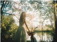 古易方2017年5月生肖运程