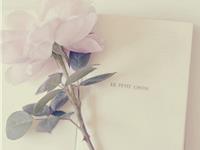 紫微斗数七杀星2017年6月运势