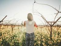 12星女的状态怎么停更了？（下）