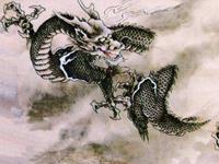 风调雨顺打一生肖