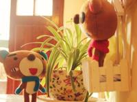 水瓶座一生最大的优点是什么