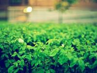 给双鱼座的毒鸡汤