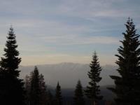 你的梦想最终会实现吗