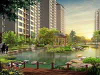 十二生肖的大吉风水楼层