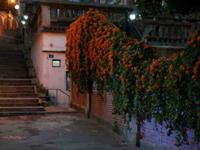 绝不故地重游，有些记忆这些星座希望不再提及