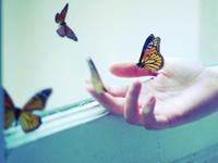 12星座最不想放弃的是什么