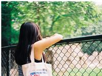 董易姗2017年6月生肖猪运势