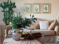 客厅风水中最忌讳的是什么