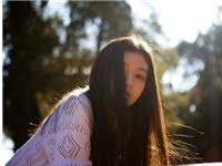 浮图塔2017年6月份十二生肖运程