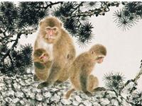 易玄2017年6月生肖猴运势