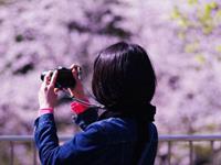 Eskey2017年6月星座运势