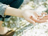 YAO叔十二星座2017年6月运势