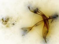 A微日记2017年6月射手座运势