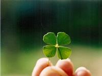 Pandora占星小巫本周塔罗运势（6.5-6.11）