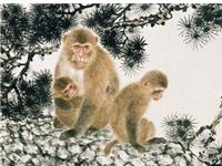 1980年属猴的人2018年运程