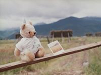 天秤座永远不变的特质