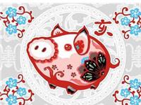 肖百奇2017年6月生肖猪运势