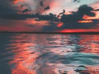 近期你的生活会有什么惊喜呢