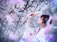 生肖兔不可触碰的雷区是什么