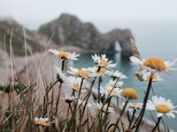 占卜你该如何治愈内心的伤痛