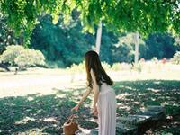 十二生肖2017下半年健康运