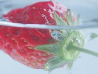 天蝎座曾在爱情里做过的傻事