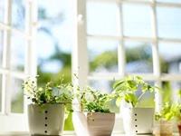 双鱼座被哪个星座完克