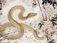 生肖蛇男忙碌之余如何讨老婆开心