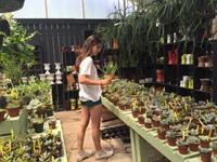 占卜你的幸福与什么有关