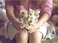 羲邑师姐2017年农历6月生肖狗运势