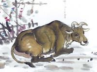 古易方2017年7月生肖牛运程