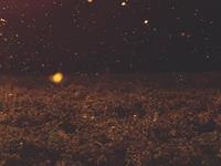 你能否选中自己心仪的大学