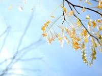 白羊座讨厌一个人的方式