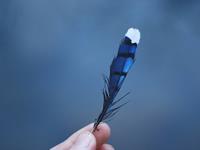 摩羯座讨厌一个人的方式