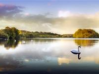 处女座的理性有多恐怖