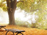 当你跟着狮子座一起去旅行