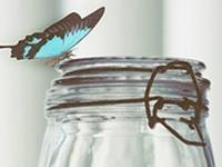 双鱼座最恨什么样的人