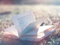 金牛座：我有一个牛逼闪闪的梦想