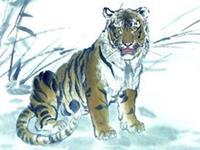 生肖虎最受不了恋人什么行为