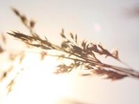 巨蟹座的幽默程度如何