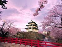 白羊座最郁闷的事情是什么