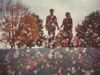 占卜你还剩多少节操值