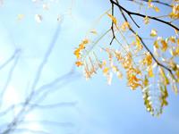 双鱼座最让人鄙视的性格