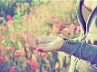 张盛舒2017年8月生肖猴运势