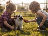 O血型君如何与O型血人相处