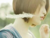 当狮子座的心情十分不好