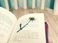 金牛座最值得骄傲的事是什么