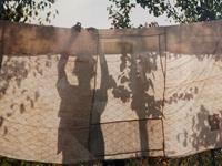 占卜你有哪方面的第六感